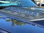 2022 Chevrolet Silverado 3500 Crew Cab 4WD Pickup for sale #345222T - photo 14