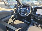 New 2026 Ford F-150 XLT SuperCrew Cab for sale #FA20004 - photo 12