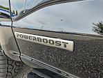 New 2025 Ford F-150 XLT SuperCrew Cab 4WD Pickup for sale #FB54286 - photo 40
