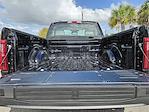 New 2025 Ford F-150 XL Regular Cab 4WD Pickup for sale #KF19234 - photo 22
