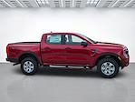 New 2025 Ford Ranger XL SuperCrew Cab 4WD Pickup for sale #LE35289 - photo 5