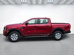 New 2025 Ford Ranger XL SuperCrew Cab 4WD Pickup for sale #LE35289 - photo 8
