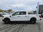 New 2024 Ford F-150 STX SuperCrew Cab 4WD Pickup for sale #F240101 - photo 3