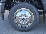 New 2025 Ford F-550 Regular Cab Cab Chassis for sale #F250216 - photo 45