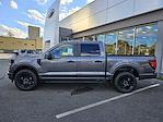 New 2025 Ford F-150 STX SuperCrew Cab 4WD Pickup for sale #F250247 - photo 30