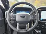 2025 Ford F-150 SuperCrew Cab 4WD Pickup for sale #F250264 - photo 25