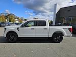 New 2025 Ford F-150 STX SuperCrew Cab 4WD Pickup for sale #F250270 - photo 31