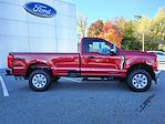 2024 Ford F-250 Regular Cab 4x4 Pickup for sale #F2653X - photo 6