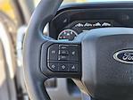 2024 Ford F-250 Crew Cab 4x4 Pickup for sale #FX971XX - photo 26