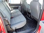 New 2025 Ford F-150 XL SuperCrew Cab 4x4 Pickup for sale #E80775 - photo 12