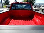 New 2025 Ford F-150 XL SuperCrew Cab 4x4 Pickup for sale #E80775 - photo 14