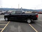 New 2025 Ford F-150 XL SuperCrew Cab 4x4 Pickup for sale #F16720 - photo 14
