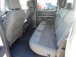 2024 Ford F-150 SuperCrew Cab 4WD Pickup for sale #F60666 - photo 13