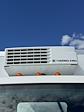 New 2026 Isuzu NPR-HD Refrigerated Body for sale #1F1-REEFER - photo 8