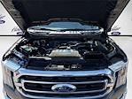 2021 Ford F-150 SuperCrew Cab 4x2 Pickup for sale #MFC21292 - photo 31