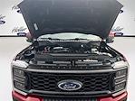 2023 Ford F-250 Crew Cab 4x4 Pickup for sale #PEC99879 - photo 32