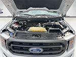 Used 2023 Ford F-150 XLT SuperCrew Cab for sale #PFC56888 - photo 30