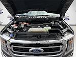 2023 Ford F-150 SuperCrew Cab 4x2 Pickup for sale #PFD28788 - photo 31