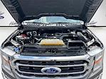 2023 Ford F-150 SuperCrew Cab 4x2 Pickup for sale #PKE38617 - photo 30