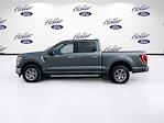 2023 Ford F-150 SuperCrew Cab 4x2 Pickup for sale #PKE38617 - photo 6