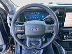 2025 Ford F-250 Crew Cab 4x4 Pickup for sale #SED02870 - photo 12