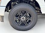 2025 Ford F-350 Regular Cab SRW 4x4 Pickup for sale #SED21618 - photo 25