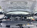 2025 Ford F-250 Super Cab 4x2 Pickup for sale #SED81676 - photo 31