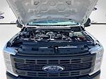 2025 Ford F-350 Regular Cab SRW 4x2 Pickup for sale #SEE09355 - photo 26