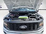2025 Ford F-150 SuperCrew Cab 4x4 Pickup for sale #SFB15518 - photo 29