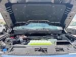 2025 Ford F-150 SuperCrew Cab 4x4 Pickup for sale #SFB24227 - photo 32