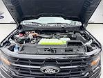 2025 Ford F-150 SuperCrew Cab 4x4 Pickup for sale #SFB90563 - photo 31