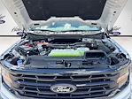 2025 Ford F-150 SuperCrew Cab 4x4 Pickup for sale #SFB90564 - photo 31