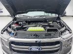 2025 Ford F-150 SuperCrew Cab 4x4 Pickup for sale #SFB95691 - photo 32