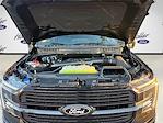 2025 Ford F-150 SuperCrew Cab 4x4 Pickup for sale #SFC46343 - photo 32
