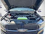 New 2025 Ford F-150 Platinum SuperCrew Cab for sale #SFC54233 - photo 33