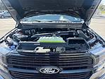 2025 Ford F-150 SuperCrew Cab 4x4 Pickup for sale #SFC61524 - photo 33