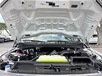 2025 Ford F-150 SuperCrew Cab 4x2 Pickup for sale #SKD32292 - photo 29