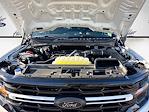 2025 Ford F-150 Regular Cab 4x4 Pickup for sale #SKD38785 - photo 24