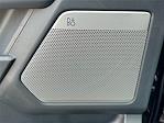 2025 Ford F-150 SuperCrew Cab 4x4 Pickup for sale #SKE03419 - photo 20