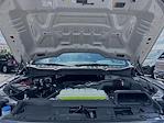 2025 Ford F-150 SuperCrew Cab 4x4 Pickup for sale #SKE24918 - photo 29