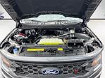 2025 Ford F-150 Regular Cab 4x4 Pickup for sale #SKE53670 - photo 24