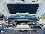 2025 Ford F-150 SuperCrew Cab 4x2 Pickup for sale #SKE68748 - photo 31
