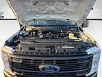 2026 Ford F-350 Regular Cab SRW 4x2 Pickup for sale #TEC38427 - photo 24