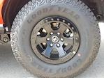 New 2025 Ford Bronco Stroppe Edition 4WD SUV for sale #925470 - photo 28