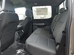 New 2025 Ford F-150 XLT SuperCrew Cab 4WD Pickup for sale #925859 - photo 19