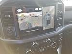 New 2025 Ford F-150 XLT SuperCrew Cab for sale #925957 - photo 2