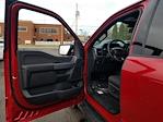 New 2025 Ford F-150 XLT SuperCrew Cab for sale #925958 - photo 13