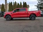 New 2025 Ford F-150 XLT SuperCrew Cab for sale #925958 - photo 8