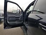 New 2026 Ford F-150 XLT SuperCrew Cab for sale #925982 - photo 17