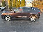 Used 2023 Ford Escape Active for sale #931783 - photo 14
